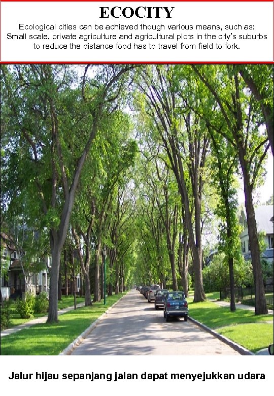 ECOCITY Ecological cities can be achieved though various means, such as: Small scale, private