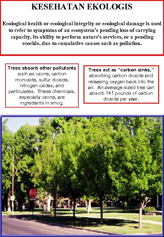 KESEHATAN EKOLOGIS Ecological health or ecological integrity or ecological damage is used to refer