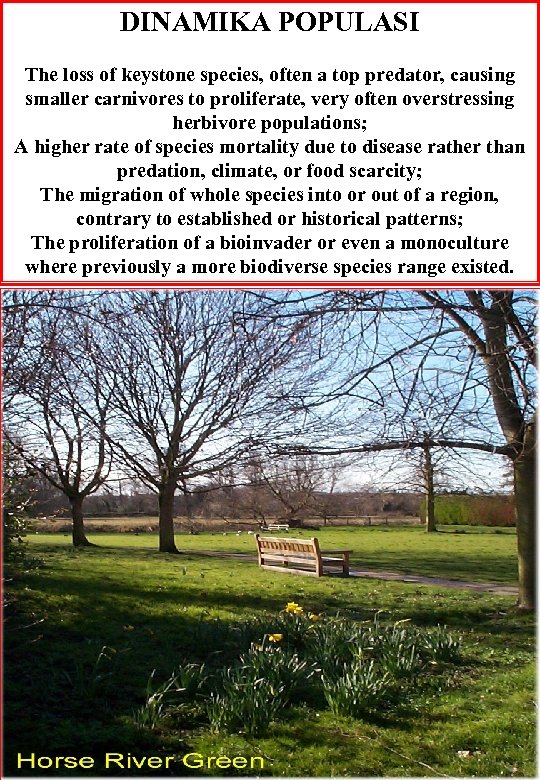 DINAMIKA POPULASI The loss of keystone species, often a top predator, causing smaller carnivores