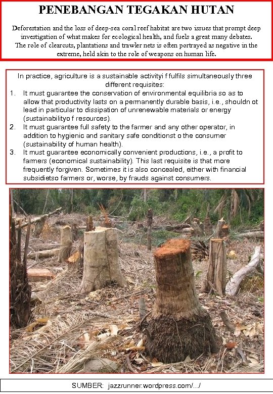 PENEBANGAN TEGAKAN HUTAN Deforestation and the loss of deep-sea coral reef habitat are two