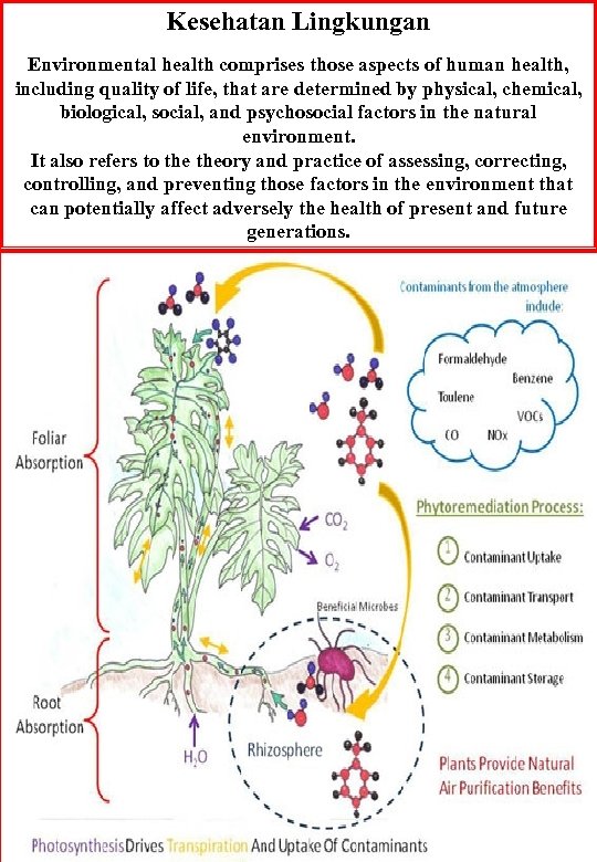 Kesehatan Lingkungan Environmental health comprises those aspects of human health, including quality of life,