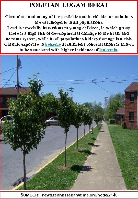 POLUTAN LOGAM BERAT Chromium and many of the pesticide and herbicide formulations are carcinogenic