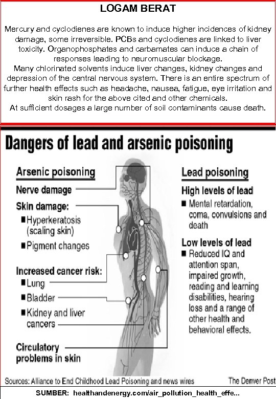 LOGAM BERAT Mercury and cyclodienes are known to induce higher incidences of kidney damage,