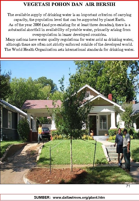 VEGETASI POHON DAN AIR BERSIH The available supply of drinking water is an important