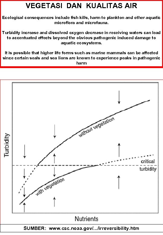 VEGETASI DAN KUALITAS AIR Ecological consequences include fish kills, harm to plankton and other