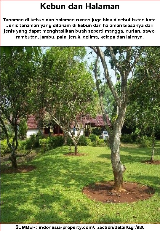 Kebun dan Halaman Tanaman di kebun dan halaman rumah juga bisa disebut hutan kota.