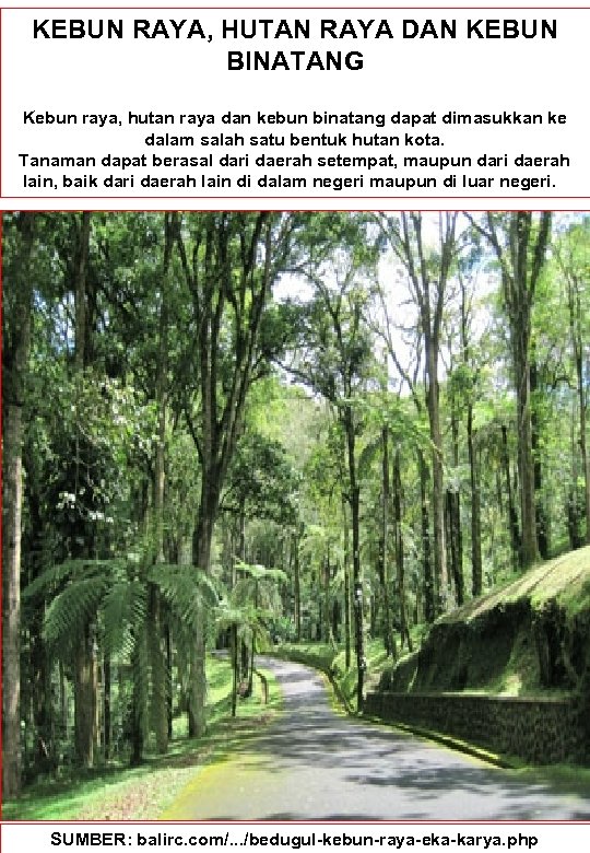 KEBUN RAYA, HUTAN RAYA DAN KEBUN BINATANG Kebun raya, hutan raya dan kebun binatang