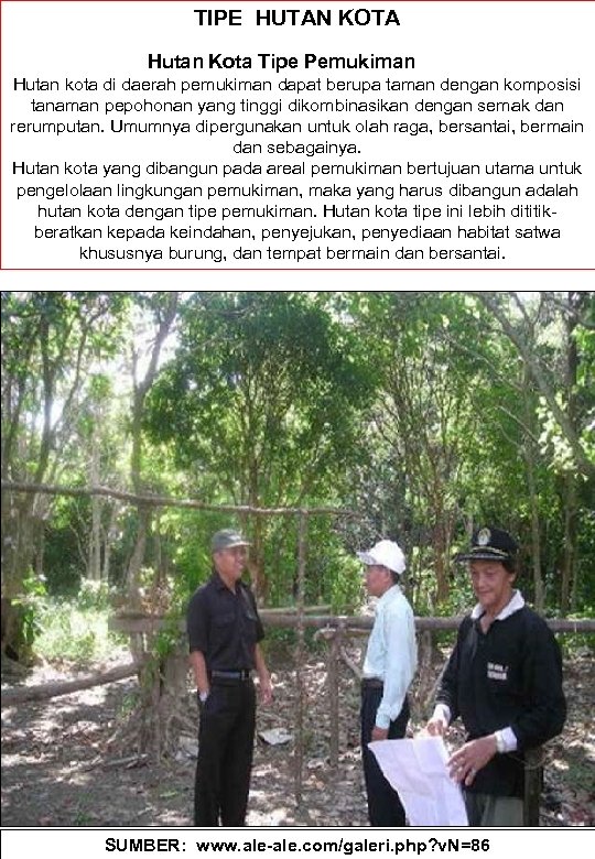 TIPE HUTAN KOTA Hutan Kota Tipe Pemukiman Hutan kota di daerah pemukiman dapat berupa