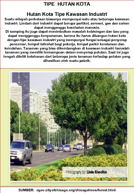 TIPE HUTAN KOTA Hutan Kota Tipe Kawasan Industri Suatu wilayah perkotaan biasanya mempunyai satu