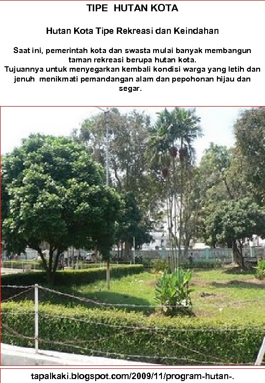 TIPE HUTAN KOTA Hutan Kota Tipe Rekreasi dan Keindahan Saat ini, pemerintah kota dan