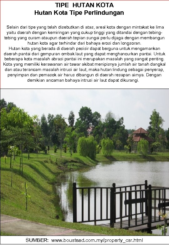 TIPE HUTAN KOTA Hutan Kota Tipe Perlindungan Selain dari tipe yang telah disebutkan di