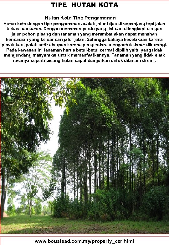TIPE HUTAN KOTA Hutan Kota Tipe Pengamanan Hutan kota dengan tipe pengamanan adalah jalur