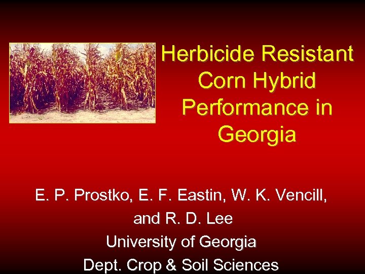 Herbicide Resistant Corn Hybrid Performance in Georgia E. P. Prostko, E. F. Eastin, W.