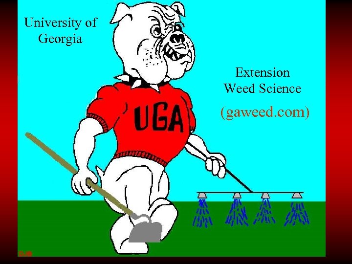 University of Georgia Extension Weed Science (gaweed. com) 