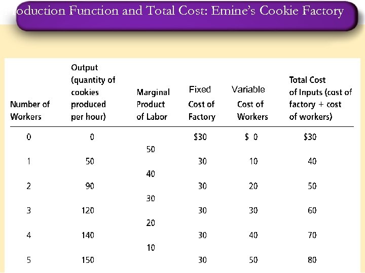 Production Function and Total Cost: Emine’s Cookie Factory Fixed Variable 