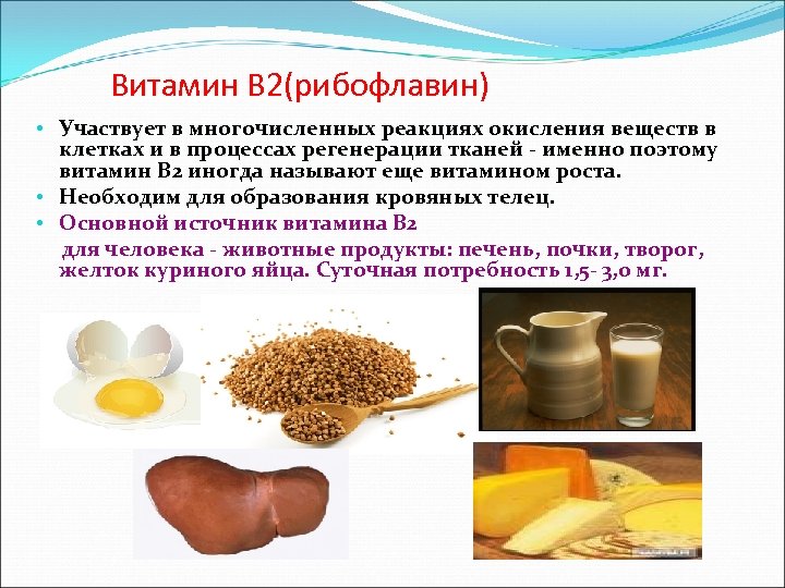Витамин В 2(рибофлавин) • Участвует в многочисленных реакциях окисления веществ в клетках и в