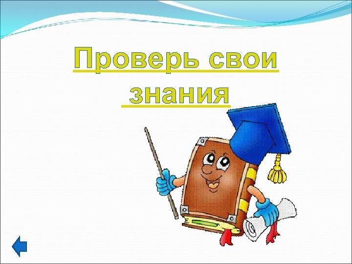 Проверь свои знания 