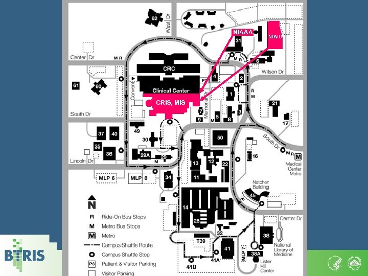 NIAAA CRIS, MIS 33 NIAID 
