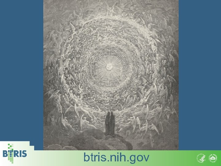 btris. nih. gov 