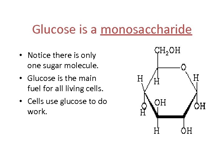 Glucose is a monosaccharide • Notice there is only one sugar molecule. • Glucose