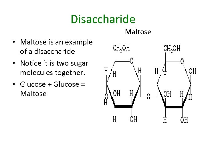 Disaccharide Maltose • Maltose is an example of a disaccharide • Notice it is