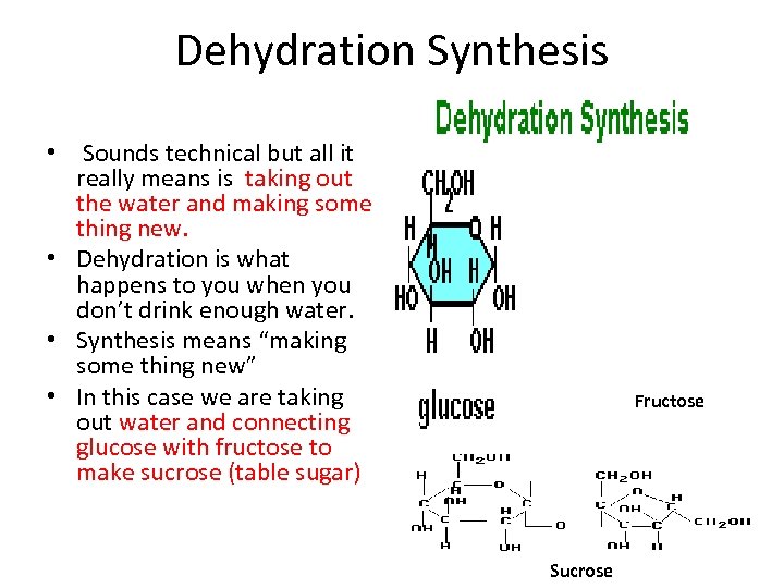 Dehydration Synthesis • Sounds technical but all it really means is taking out the