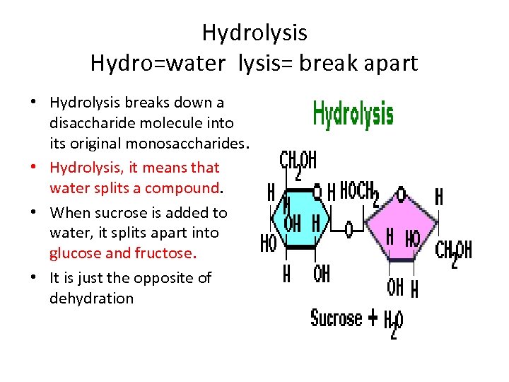 Hydrolysis Hydro=water lysis= break apart • Hydrolysis breaks down a disaccharide molecule into its