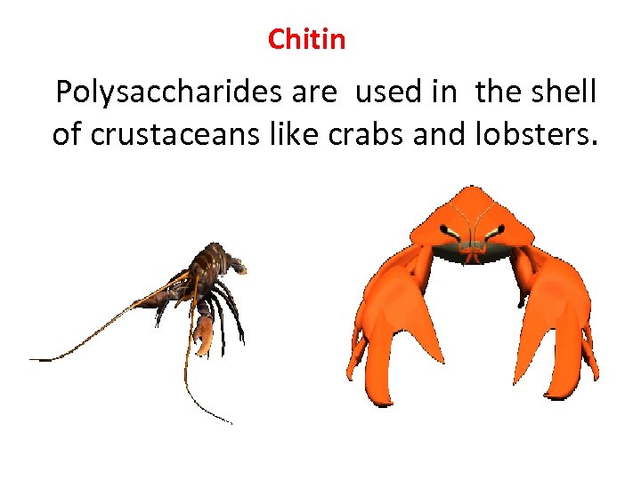 Chitin Polysaccharides are used in the shell of crustaceans like crabs and lobsters. 