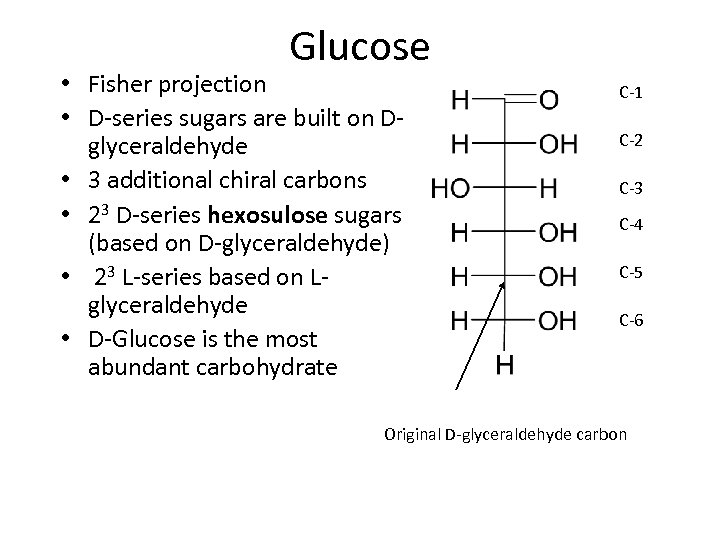 Glucose • Fisher projection • D-series sugars are built on Dglyceraldehyde • 3 additional