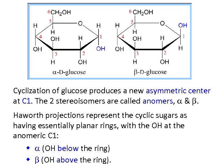 Cyclization of glucose produces a new asymmetric center at C 1. The 2 stereoisomers