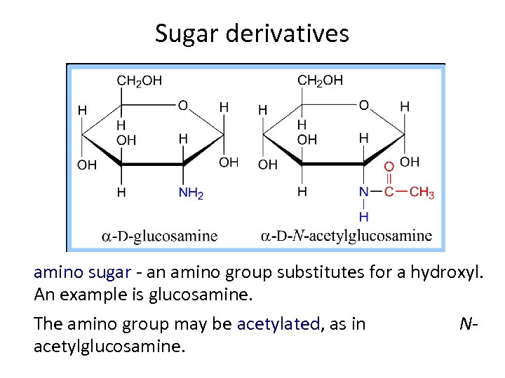 Sugar derivatives amino sugar - an amino group substitutes for a hydroxyl. An example