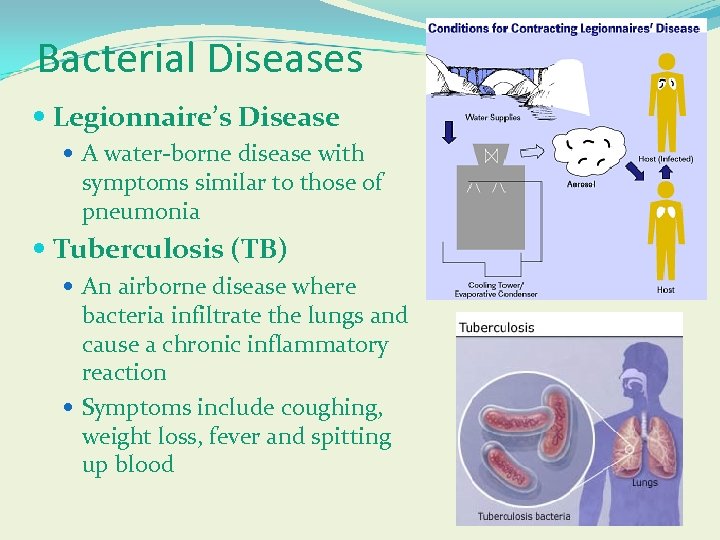 Bacterial Diseases Legionnaire’s Disease A water-borne disease with symptoms similar to those of pneumonia