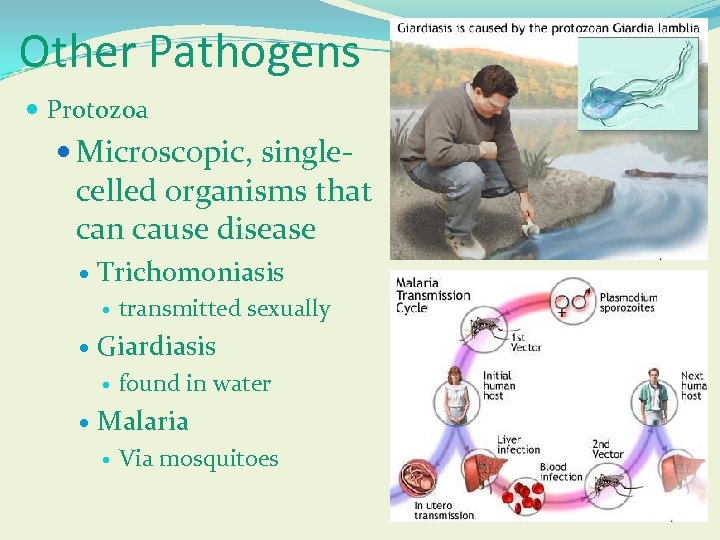 Other Pathogens Protozoa Microscopic, single- celled organisms that can cause disease Trichomoniasis Giardiasis transmitted