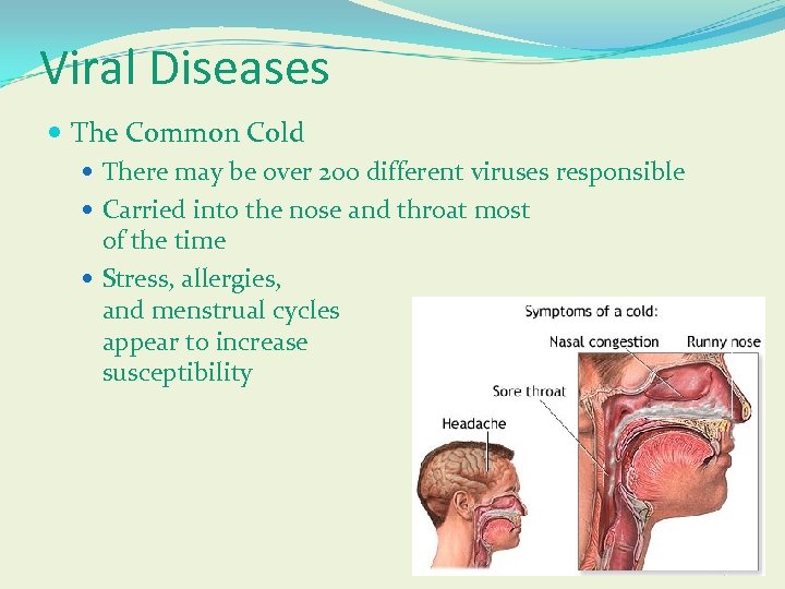 Viral Diseases The Common Cold There may be over 200 different viruses responsible Carried
