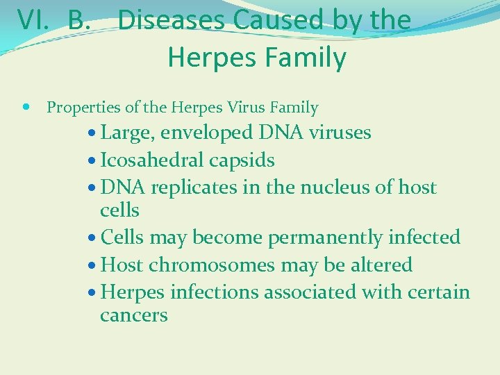 VI. B. Diseases Caused by the Herpes Family Properties of the Herpes Virus Family