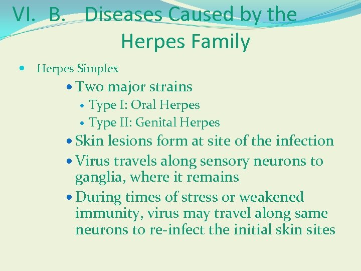 VI. B. Diseases Caused by the Herpes Family Herpes Simplex Two major strains Type