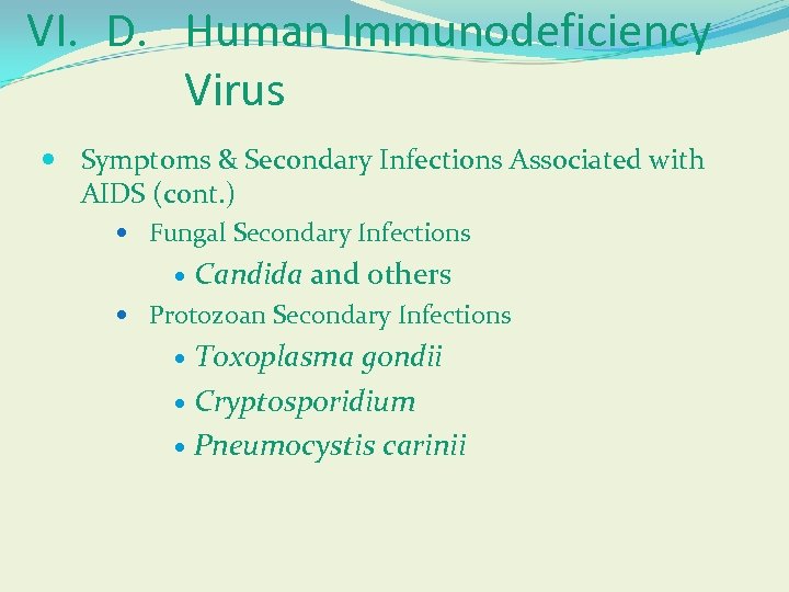 VI. D. Human Immunodeficiency Virus Symptoms & Secondary Infections Associated with AIDS (cont. )
