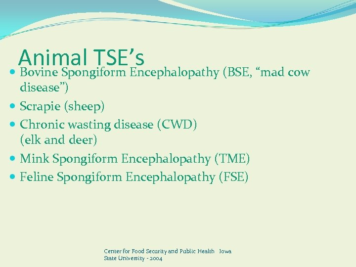 Animal TSE’s Bovine Spongiform Encephalopathy (BSE, “mad cow disease”) Scrapie (sheep) Chronic wasting disease