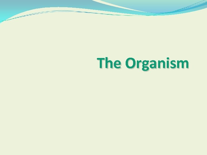 The Organism 