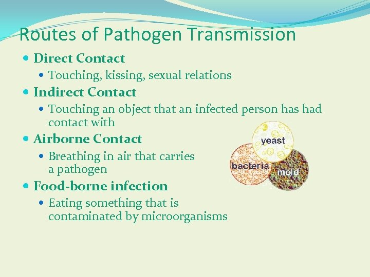 Routes of Pathogen Transmission Direct Contact Touching, kissing, sexual relations Indirect Contact Touching an