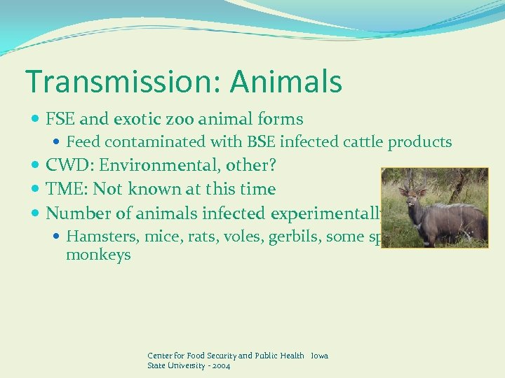 Transmission: Animals FSE and exotic zoo animal forms Feed contaminated with BSE infected cattle