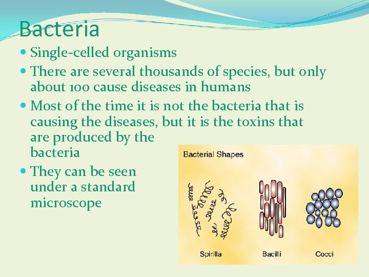 Bacteria Single-celled organisms There are several thousands of species, but only about 100 cause