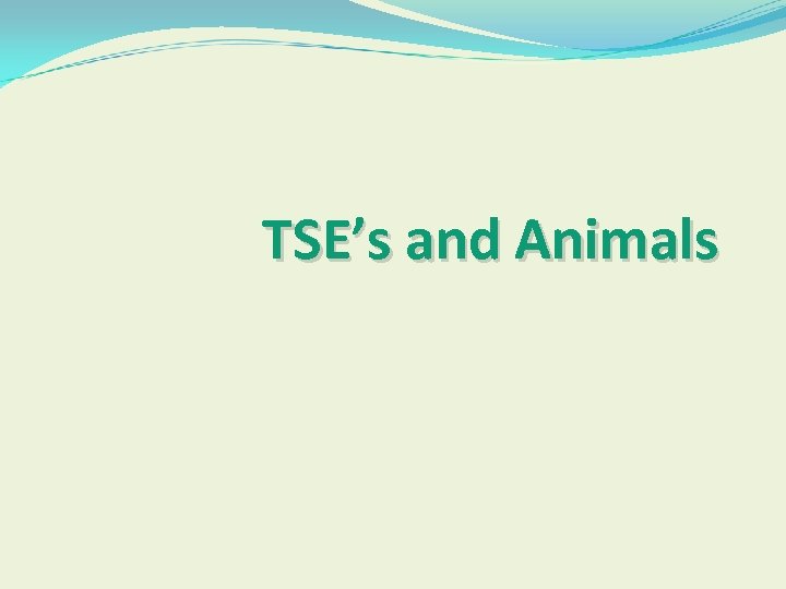 TSE’s and Animals 