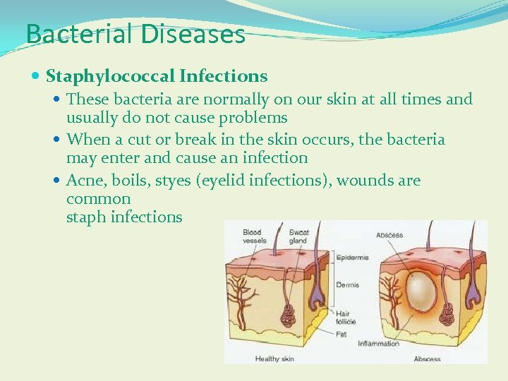 Bacterial Diseases Staphylococcal Infections These bacteria are normally on our skin at all times