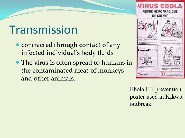 Transmission contracted through contact of any infected individual’s body fluids The virus is often