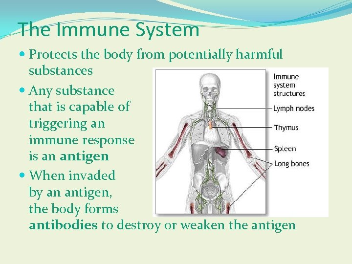 The Immune System Protects the body from potentially harmful substances Any substance that is