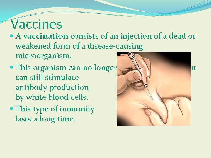 Vaccines A vaccination consists of an injection of a dead or weakened form of