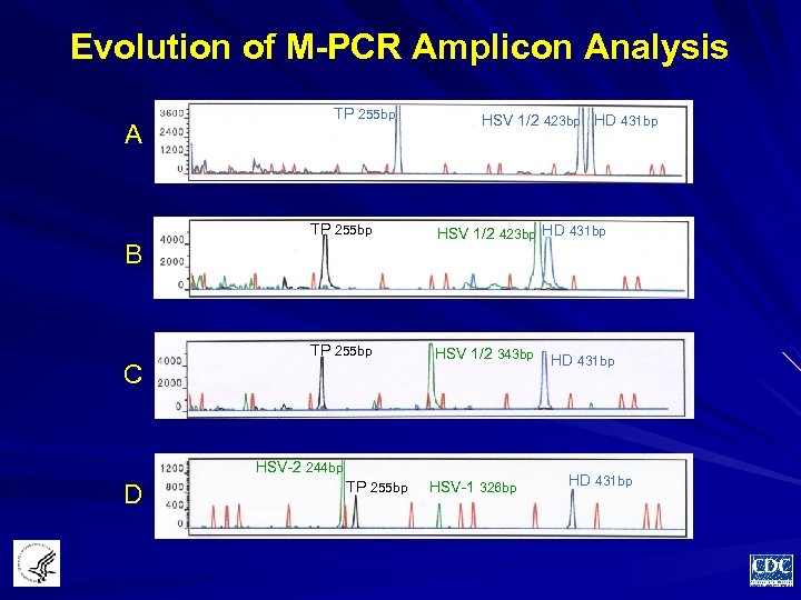 Evolution of M-PCR Amplicon Analysis A TP 255 bp HSV 1/2 423 bp HD