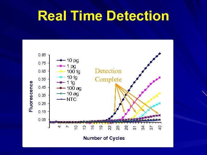 Real Time Detection 0. 85 10 pg 100 fg 100 ag 10 ag NTC