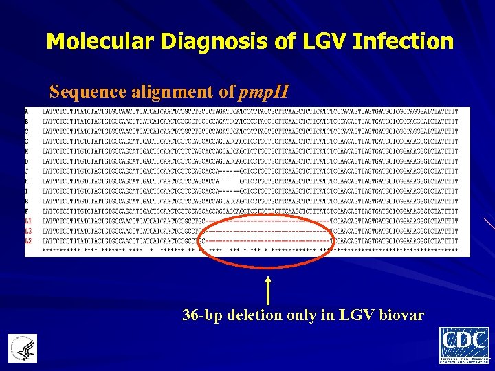 Molecular Diagnosis of LGV Infection Sequence alignment of pmp. H 36 -bp deletion only